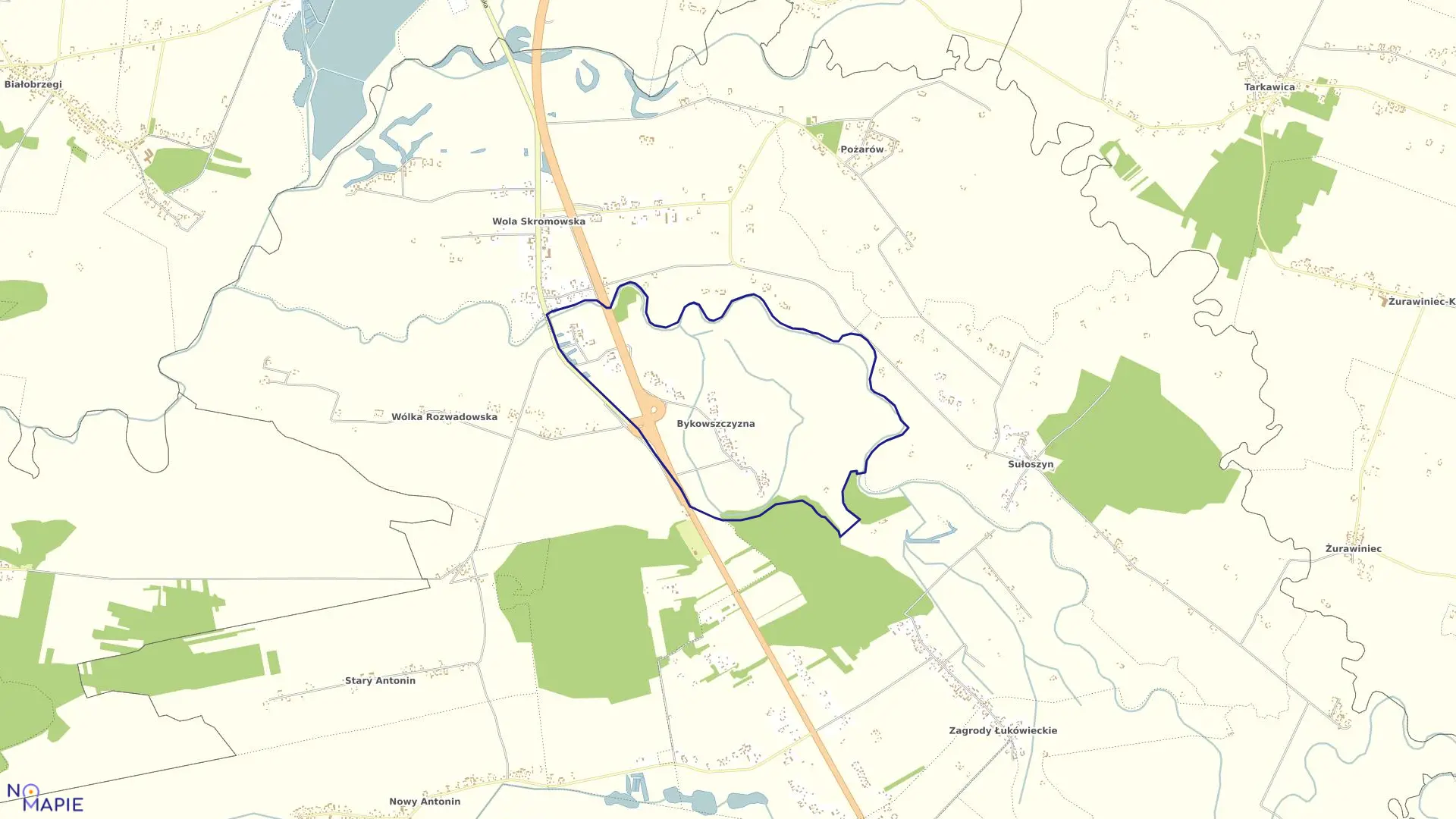 Mapa obrębu BYKOWSZCZYZNA w gminie Firlej